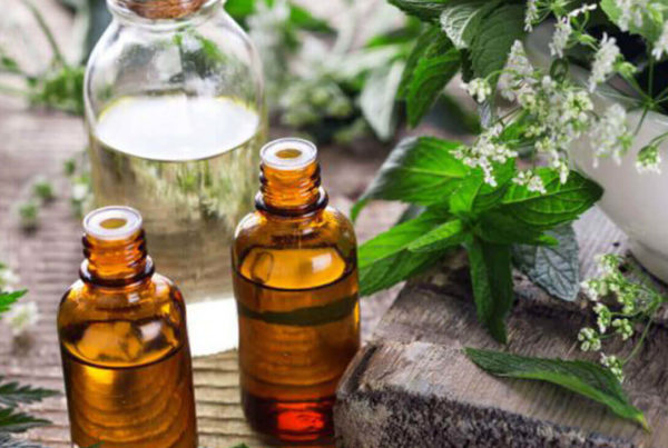 farmacia manipulacao campinas nova natural blog natureza magistral homeopatia homeopatia