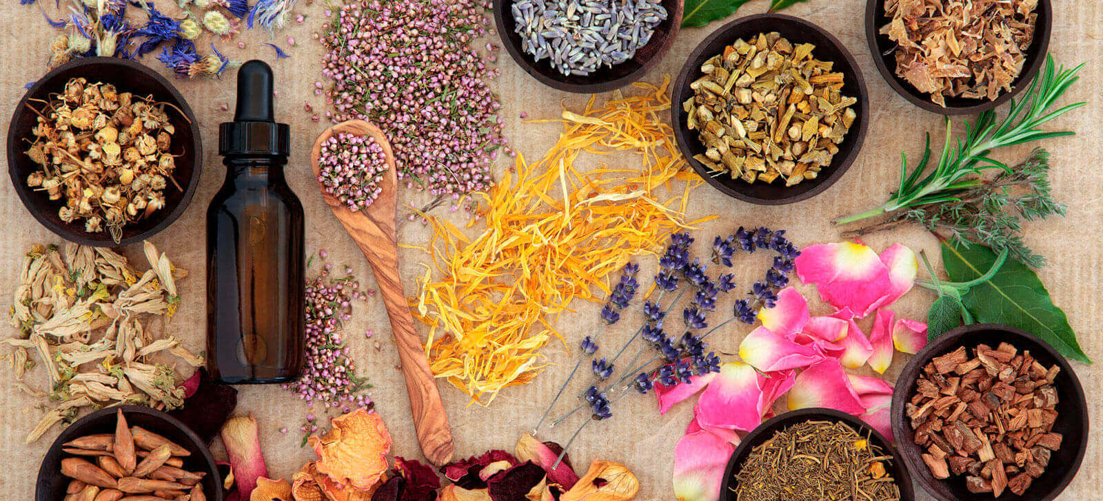 Conheça os principais remédios naturais feitos à base de flores