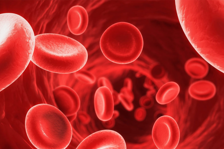 farmacia manipulacao campinas nova natural blog natureza magistral anemia anemia causas sintomas