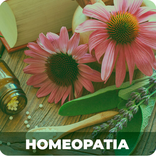 farmacia manipulacao campinas nova natural blog natureza magistral categoria homeopatia