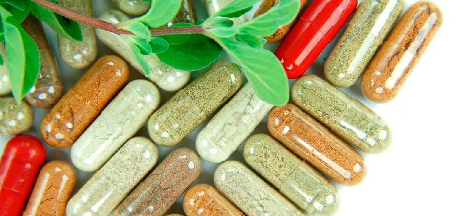 farmacia manipulacao campinas nova natural blog natureza magistral medicamentos naturais sintomas menopausa