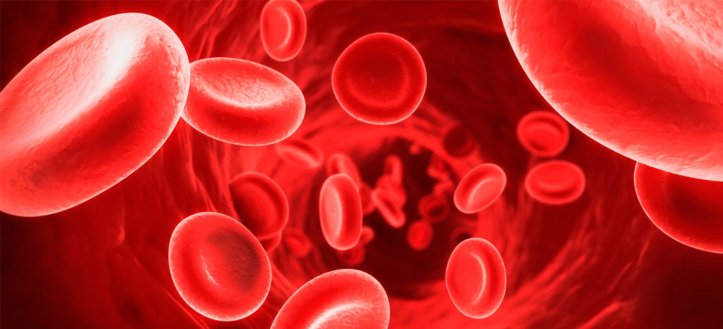 farmacia manipulacao campinas nova natural blog natureza melhores tratamentos naturais para anemia