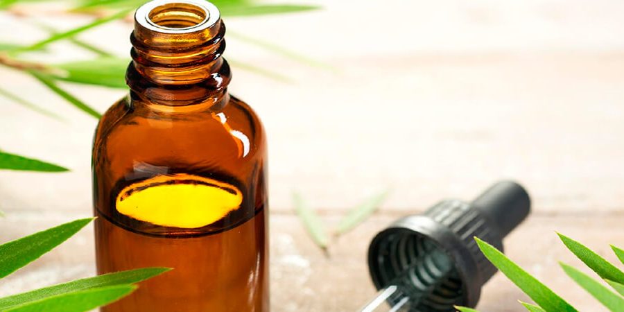 farmacia manipulacao campinas nova natural blog natureza beneficios oleo melaleuca saude beleza (1