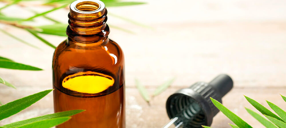 Benefícios do óleo de melaleuca para a saúde e beleza