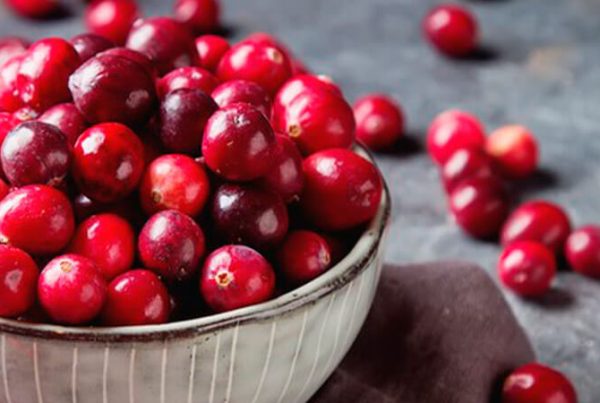 farmacia manipulacao campinas nova natural blog natureza magistral cranberry beneficios cranberry saude como consumir (2)
