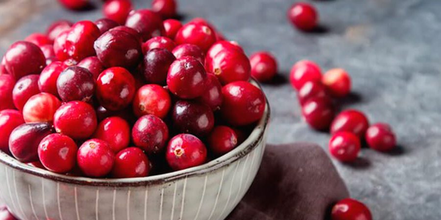 farmacia manipulacao campinas nova natural blog natureza magistral cranberry beneficios cranberry saude como consumir (2)