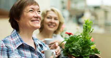 farmacia manipulacao campinas nova natural blog natureza magistral menopausa tratamento menopausa mobile