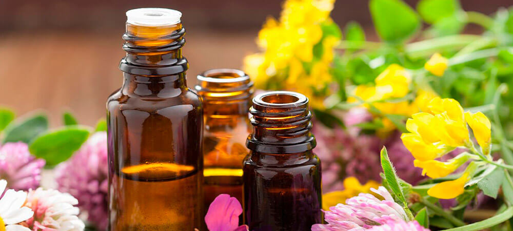 Terapia Floral: tratamento alternativo para ansiedade